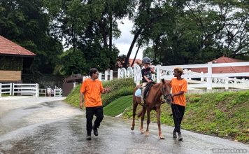 Gallop.sg @ Sembawang: Family-friendly Horsey Fun Gallop.sg @ Sembawang: Family-friendly Horsey Fun