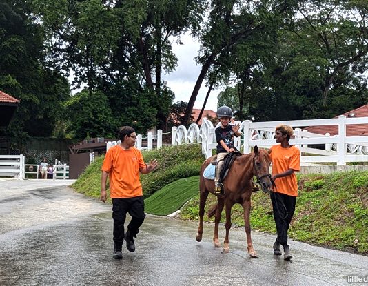 Gallop.sg @ Sembawang: Family-friendly Horsey Fun