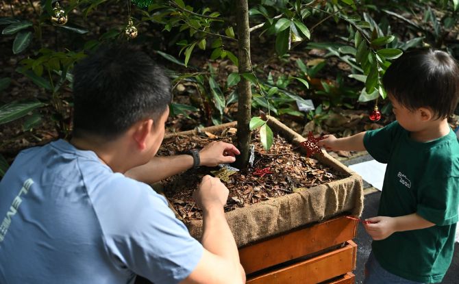 Sign Up For Free Tree Decorating Sessions For Gardens-A-Glow At Singapore Botanic Gardens 2 Free Tree Decorating Sessions for the Public