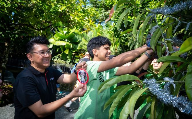 Sign Up For Free Tree Decorating Sessions For Gardens-A-Glow At Singapore Botanic Gardens 4 Contributions to the Garden City Fund
