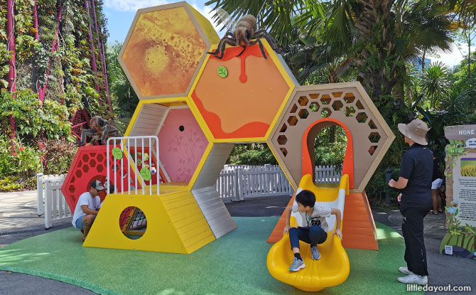 Climb into the Honeycomb at the Honeybee Playground