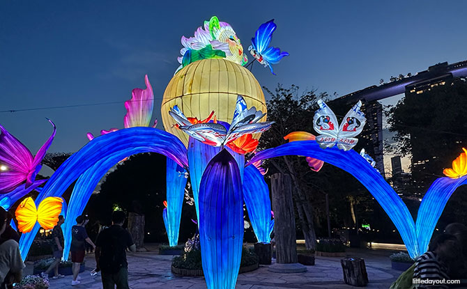 Dream of Butterflies