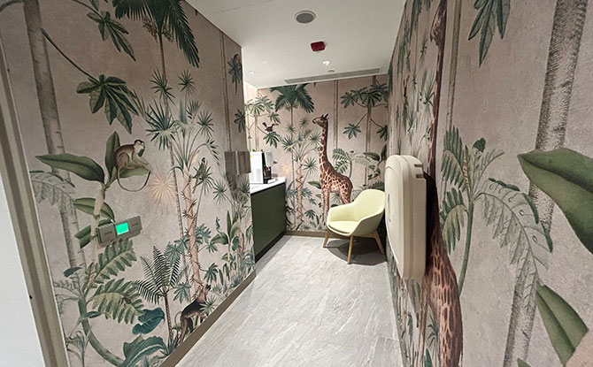 Geneo Mall Nursing Room Review