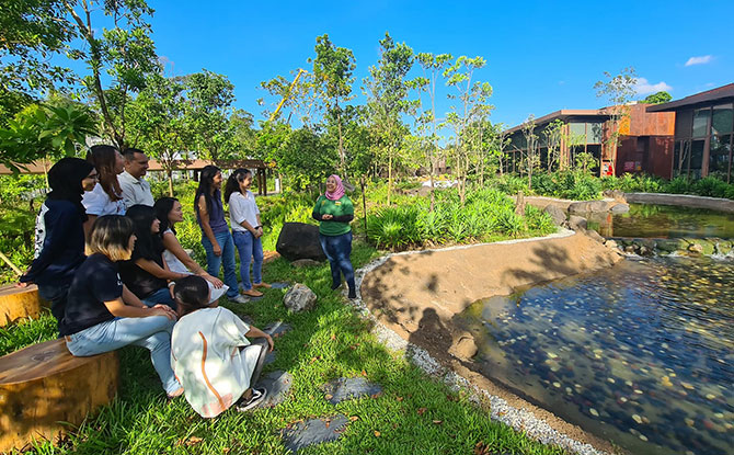 Go Green SG: 10 Fun, Family-Friendly Eco Activities To Join This May & June (Many Free!) 4 Sustainability in Mandai Talk & Tour