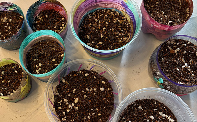 Go Green SG: 10 Fun, Family-Friendly Eco Activities To Join This May & June (Many Free!) 8 Plant your own Microgreens Workshop - Go Green SG 2026