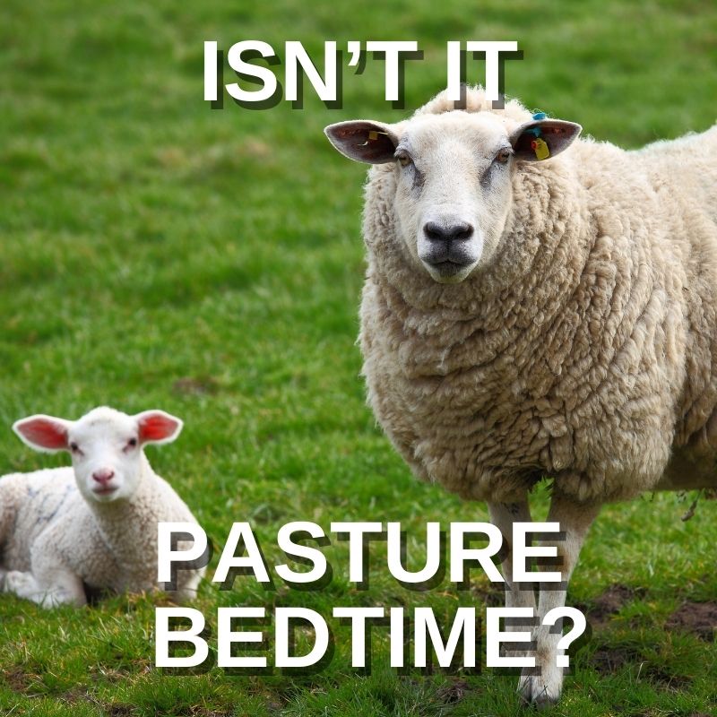 Isn't it pasture bedtime?