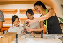 Things To Do This Weekend In Singapore: 8 To 9 November 2025 Things To Do This Weekend In Singapore: 8 To 9 November 2025