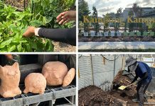 Ground-Up Initiative: Nurturing Connections At The Kampung Kampus Ground-Up Initiative: Nurturing Connections At The Kampung Kampus