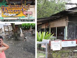 The Animal Resort To Close In January 2021