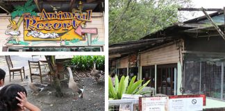 The Animal Resort To Close In January 2021