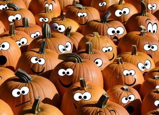 160 Halloween Jokes That Are Simply Dead Funny 160+ Halloween Jokes That Are Simply Dead Funny