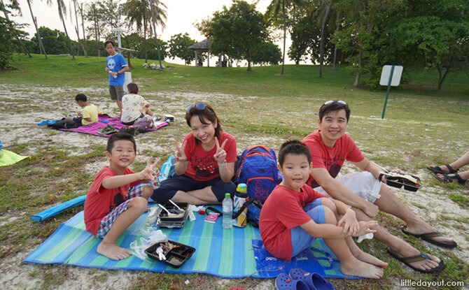 happy picnickers e