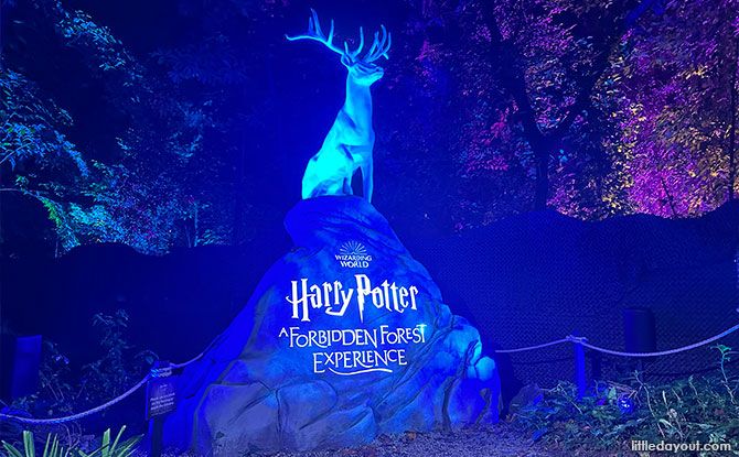 Harry Potter: A Forbidden Forest Experience in Singapore
