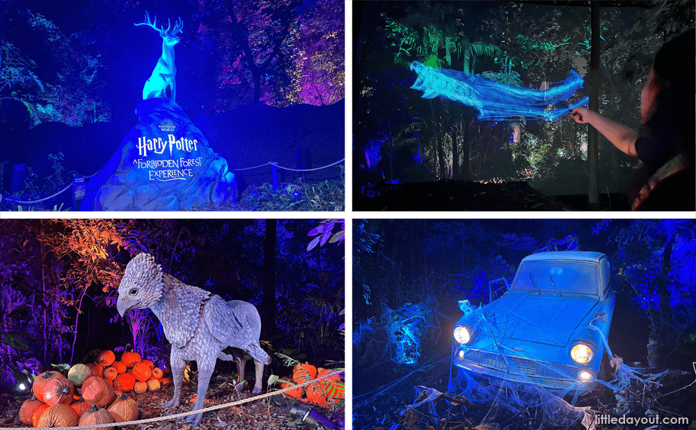 Harry Potter: A Forbidden Forest Experience – Relive the Magic Of The Books & Movies In Singapore