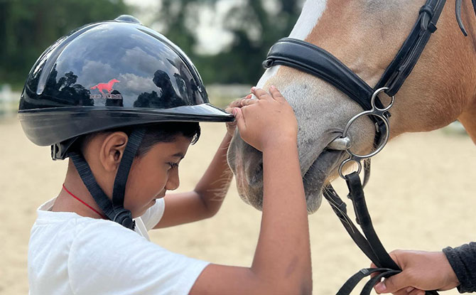 Horse Riding In Singapore: Where To Interact With Horses 8 Healing Horses for Therapy