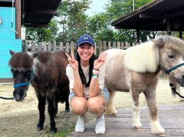 Hello From The Wild: Meet Falabellas At Singapore Zoo