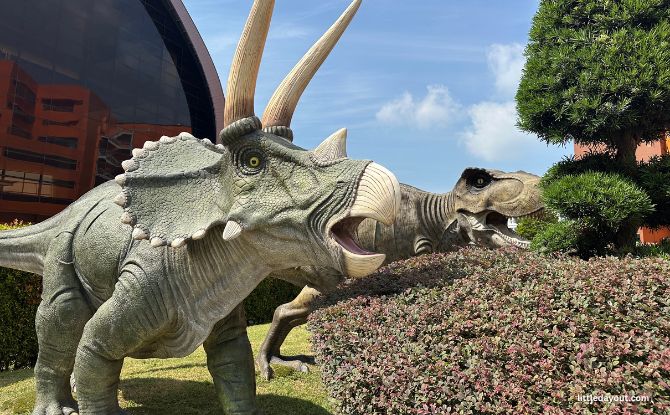 Dinosaurs At Hersing Centre In Tampines 3 triceratops and a T-rex