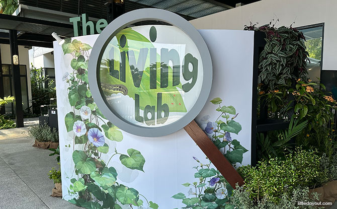 The Living Lab at HortFest