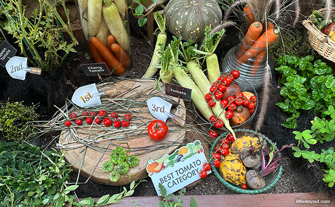 Competition Displays