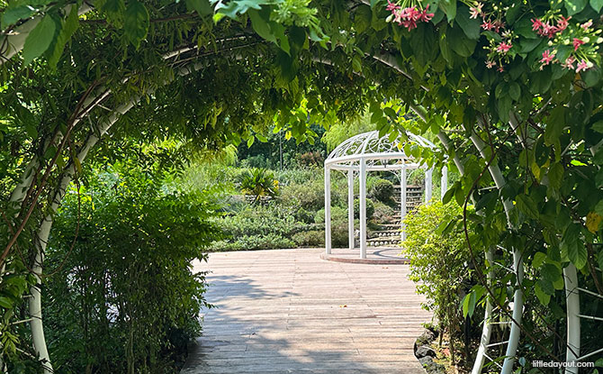 HortPark: 11 Gardens To See At The Horticulture Wonderland, Children's Playground & More 5 Scented Garden