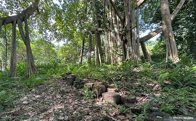 HortPark: 11 Gardens To See At The Horticulture Wonderland, Children's Playground & More 10 Nature Playgarden at HortPark