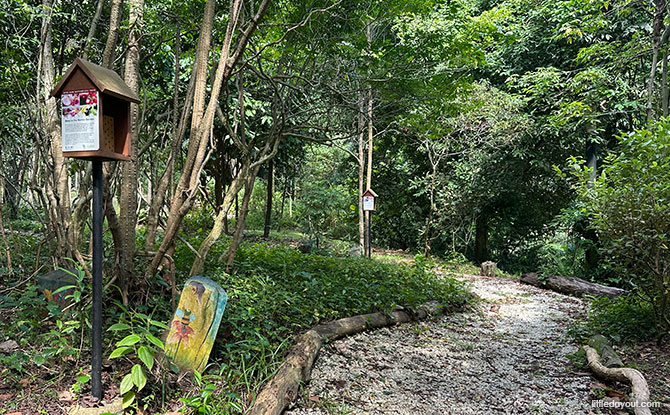 HortPark: 11 Gardens To See At The Horticulture Wonderland, Children's Playground & More 11 Native Garden