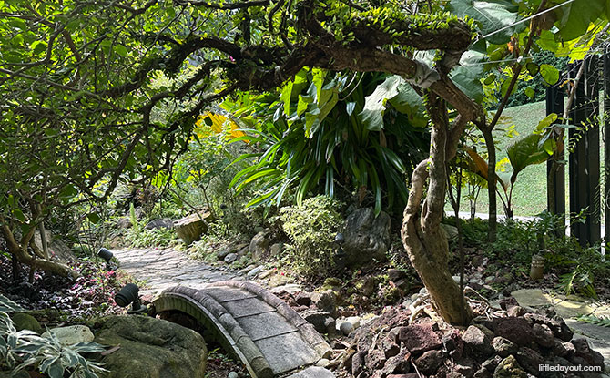 HortPark: 11 Gardens To See At The Horticulture Wonderland, Children's Playground & More 12 Rock Garden at HortPark Singapore