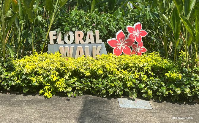 HortPark: 11 Gardens To See At The Horticulture Wonderland, Children's Playground & More 18 Floral Walk