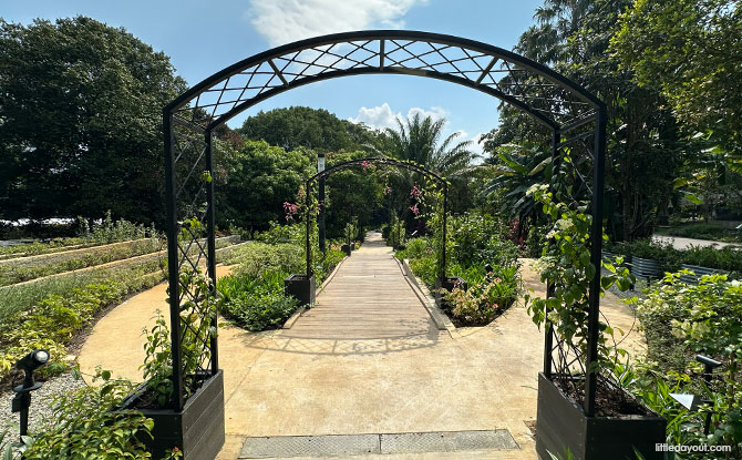 HortPark: 11 Gardens To See At The Horticulture Wonderland, Children's Playground & More 3 Beginner-Friendly Garden