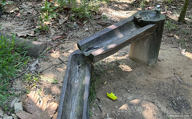 The Stream, Hortpark Nature Playgarden