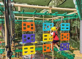 13 Obstacle Courses In Singapore: Conquer The Challenge