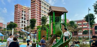 Crest Sports Park Playground: Nature-Inspired Play At Hougang Avenue 6