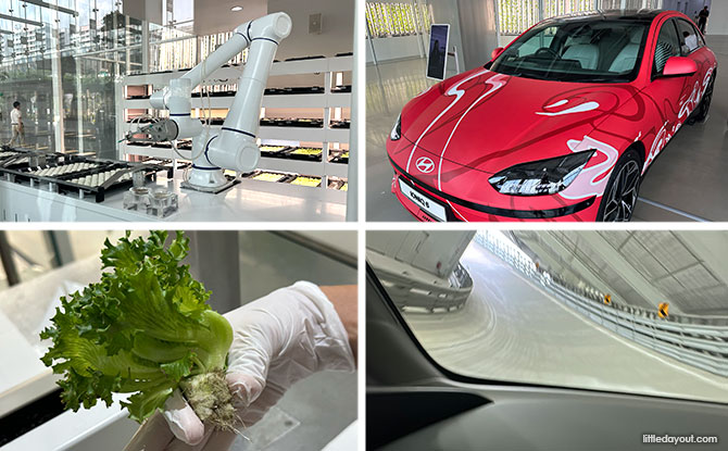 Hyundai Discovery Tour: Smart Farm, VR Factory Tour & Skytrack Ride