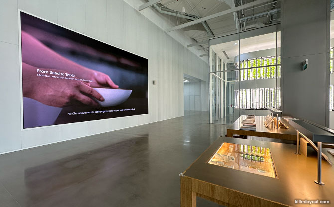 Useful Information for the Hyundai Discovery Tour