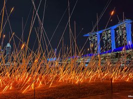 i Light Singapore 2025: Read These 5 Tips Before You Go
