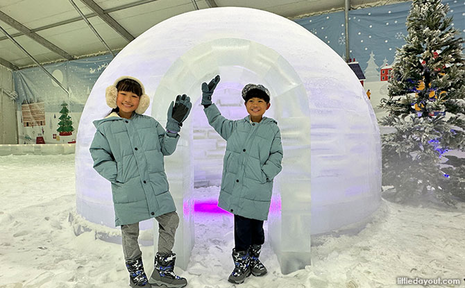 Ice Sculptures and Igloos