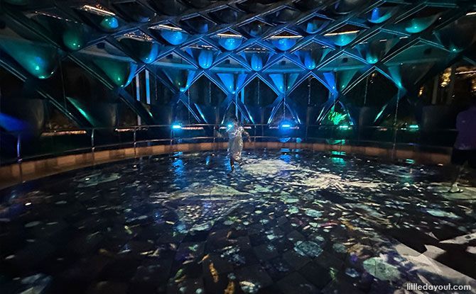 Explore enchanting underwater worlds at Symphony Streams