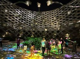 Earth Hour Festival 2025: Join The Movement On 22 March At Sentosa Sensoryscape