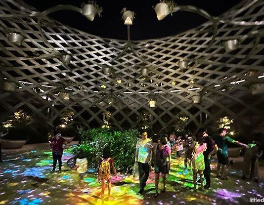 Earth Hour Festival 2025: Join The Movement On 22 March At Sentosa Sensoryscape