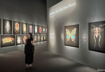 Insects: Microsculptures Magnified At ArtScience Museum – A Visual Encounter With The Insect World Insects: Microsculptures Magnified At ArtScience Museum – A Visual Encounter With The Insect World