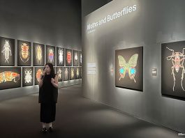 Insects: Microsculptures Magnified At ArtScience Museum – A Visual Encounter With The Insect World