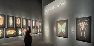 Insects: Microsculptures Magnified At ArtScience Museum – A Visual Encounter With The Insect World