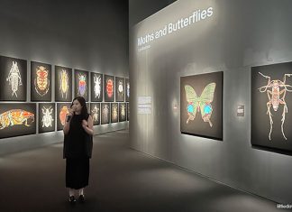 Insects: Microsculptures Magnified At ArtScience Museum – A Visual Encounter With The Insect World Insects: Microsculptures Magnified At ArtScience Museum – A Visual Encounter With The Insect World