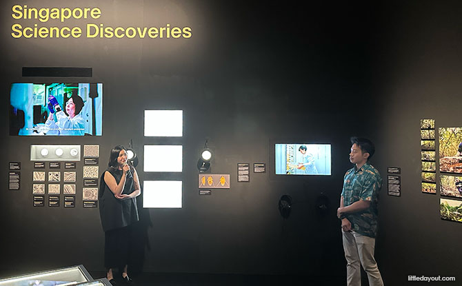 Insects: Microsculptures Magnified At ArtScience Museum – A Visual Encounter With The Insect World 3 Work of Local Institutions Showcased