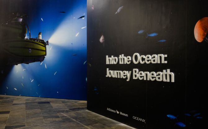 Into the Ocean: Journey Beneath Across 6 Zones At ArtScience Museum 1 Into the Ocean: Journey Beneath at ArtScience Museum