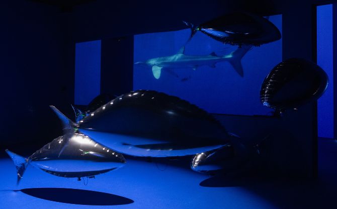 Into the Ocean: Journey Beneath Across 6 Zones At ArtScience Museum 4 Flock of by bit.studio