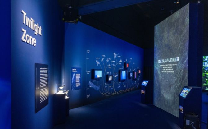 Into the Ocean: Journey Beneath Across 6 Zones At ArtScience Museum 5 Twilight Zone