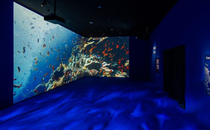 Into the Ocean: Journey Beneath Across 6 Zones At ArtScience Museum 7 Into the Ocean: Journey Beneath Exhibition