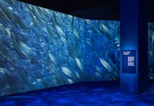 Into the Ocean: Journey Beneath Across 6 Zones At ArtScience Museum