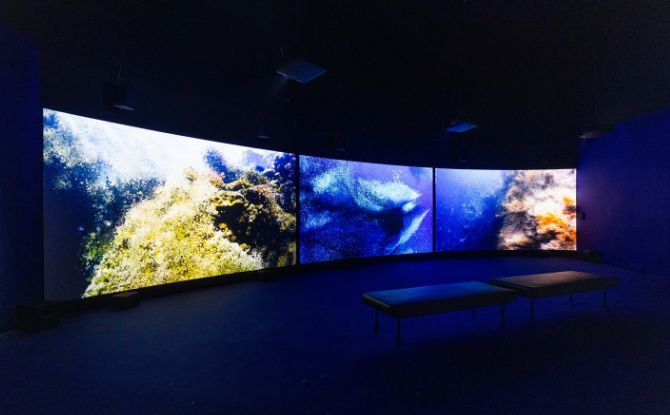 Into the Ocean: Journey Beneath Across 6 Zones At ArtScience Museum 6 Seeing Echoes in the Mind of the Whale